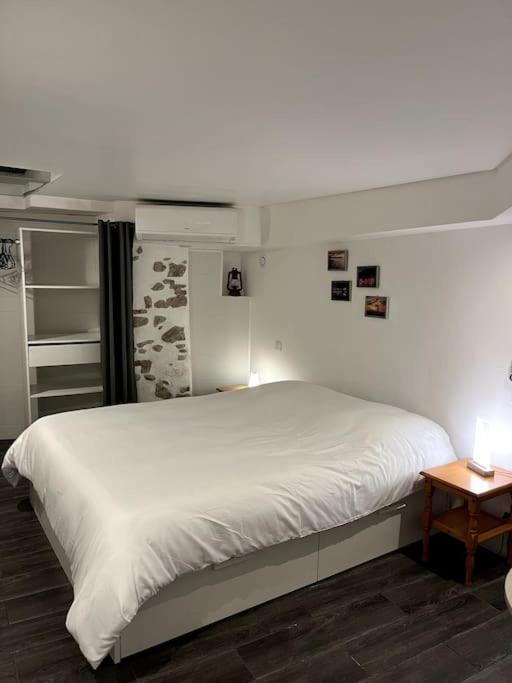 Appartement Climatise Albi - Centre Exterior photo